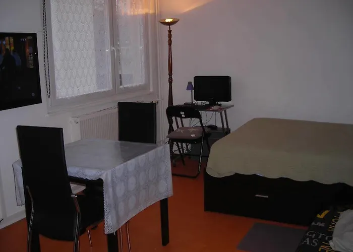 Le Sam アパート イルキルシュ＝グラファンスタデン